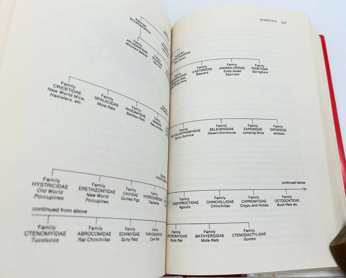 Latin Names Explained: A Guide to the Scientific Classification of Reptiles, Birds & Mammals - Gotch