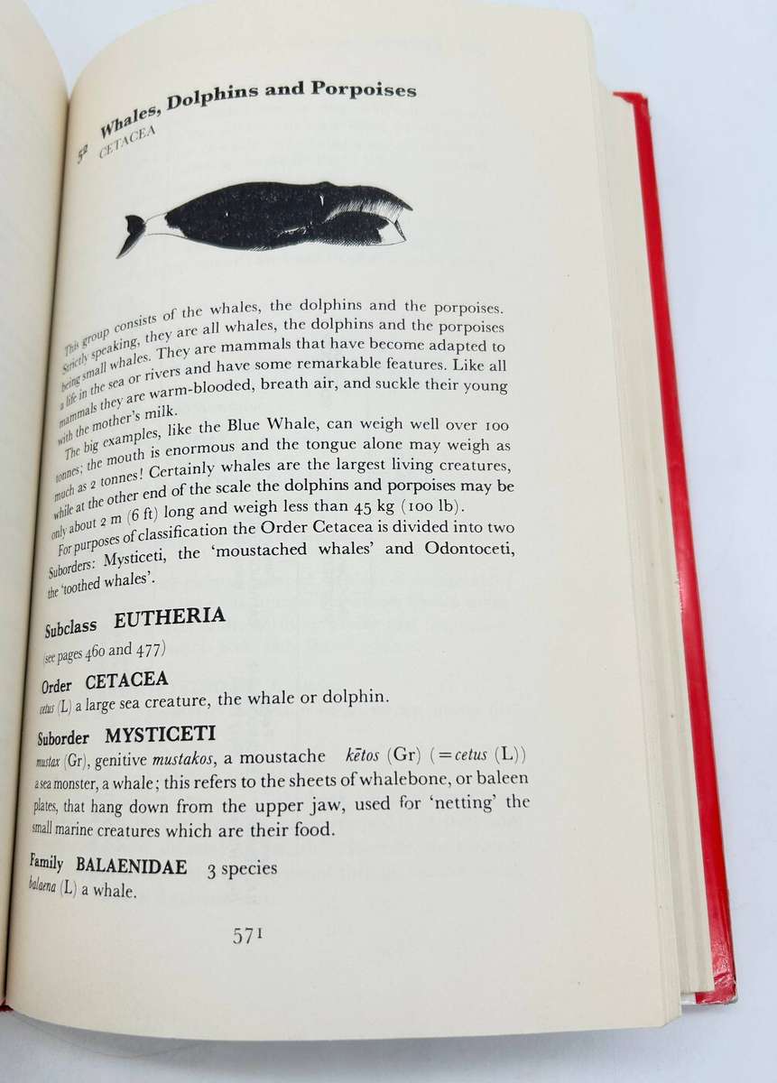 Latin Names Explained: A Guide to the Scientific Classification of Reptiles, Birds & Mammals - Gotch
