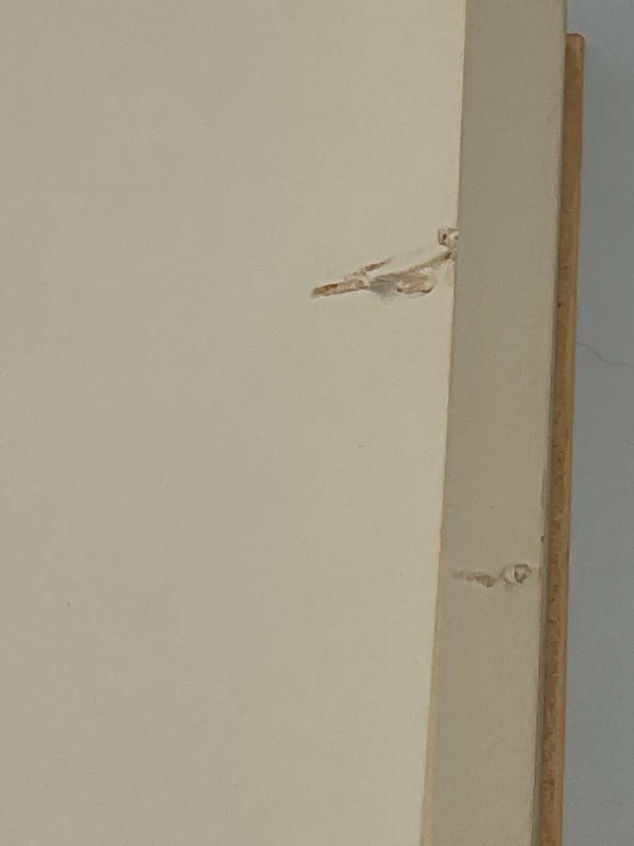 Gedigte 1936-1958 - Elisabeth Eybers