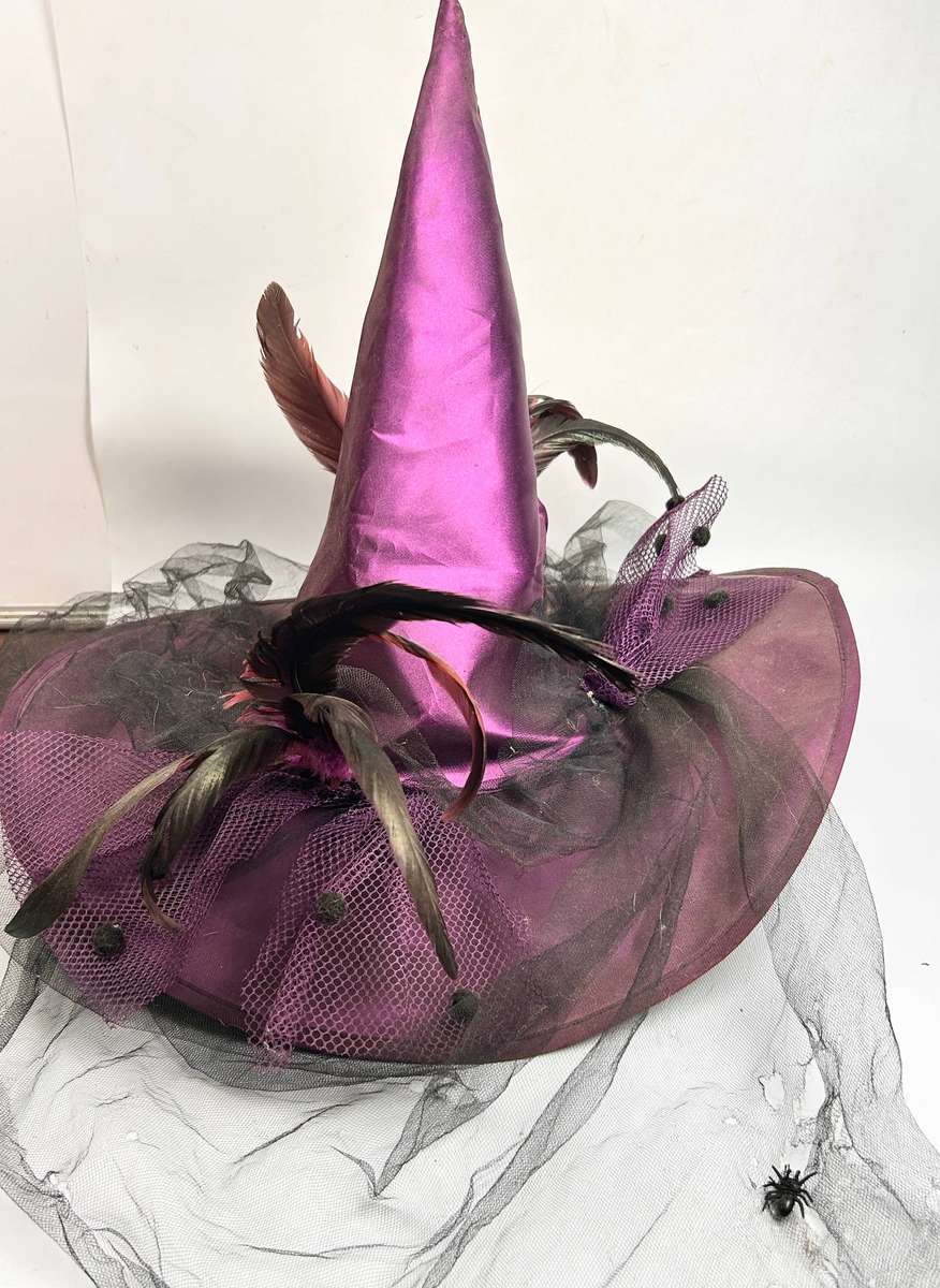 Ornate Purple Witch's Hat