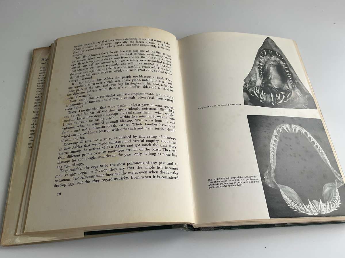 High Tide by Professor JLB Smith | Signed by Margaret M Smith