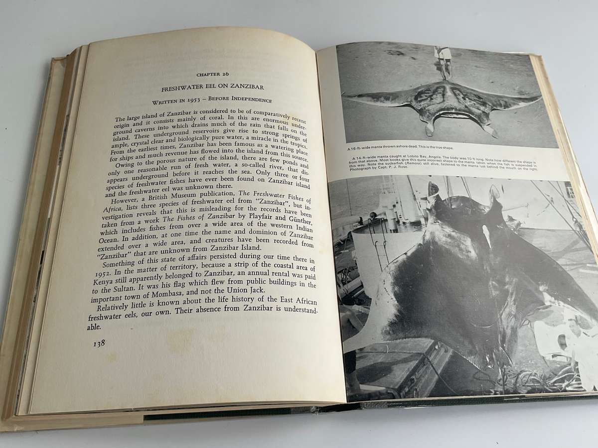 High Tide by Professor JLB Smith | Signed by Margaret M Smith