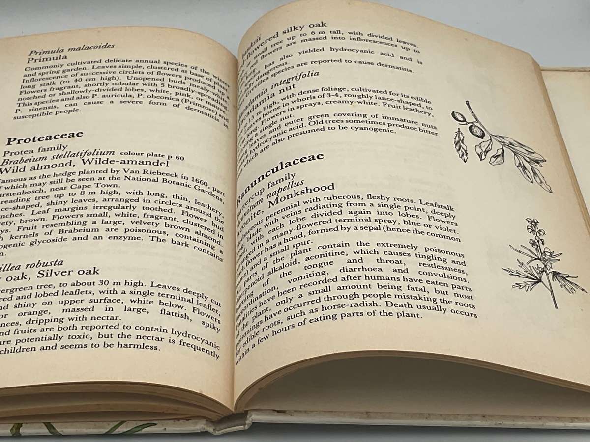 Poisonous Plants in South African Gardens and Park - A Field Guide by Joan Munday