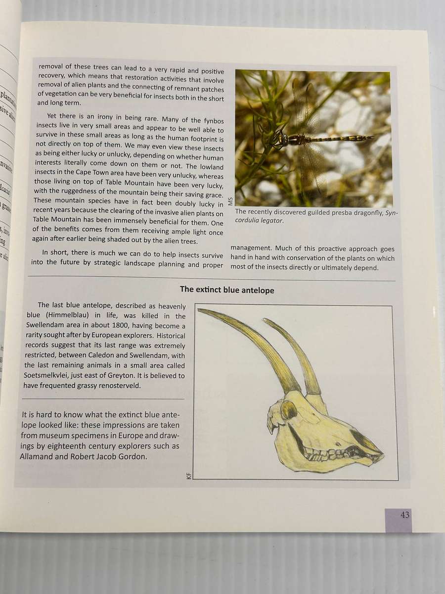Fynbos - Ecology and Management by Karen J. Esler