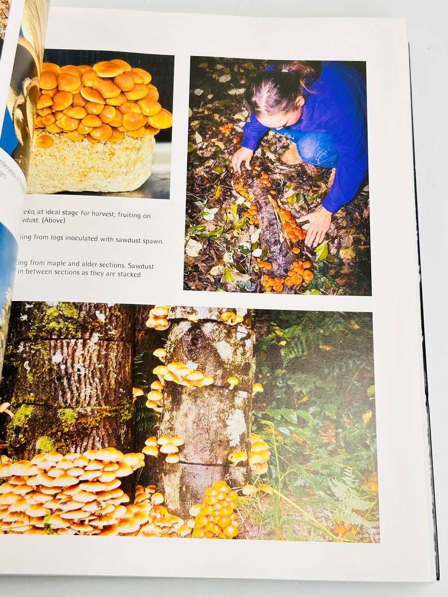Growing Gourmet and Medicinal Mushrooms by Paul Stamets | Third Edition 2000