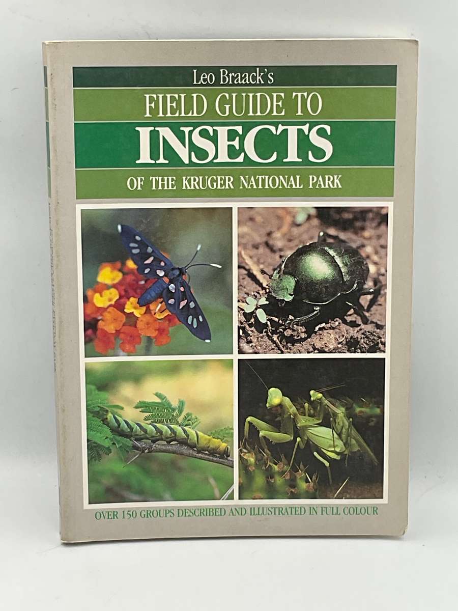 Field Guide to Insects of the Kruger National Park: Over 150 Groups Described and Illustrated Colour