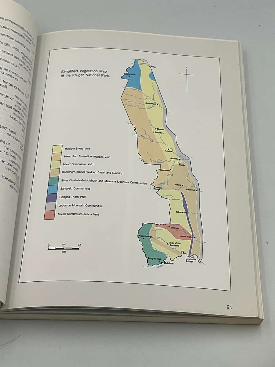 Field Guide to Insects of the Kruger National Park: Over 150 Groups Described and Illustrated Colour