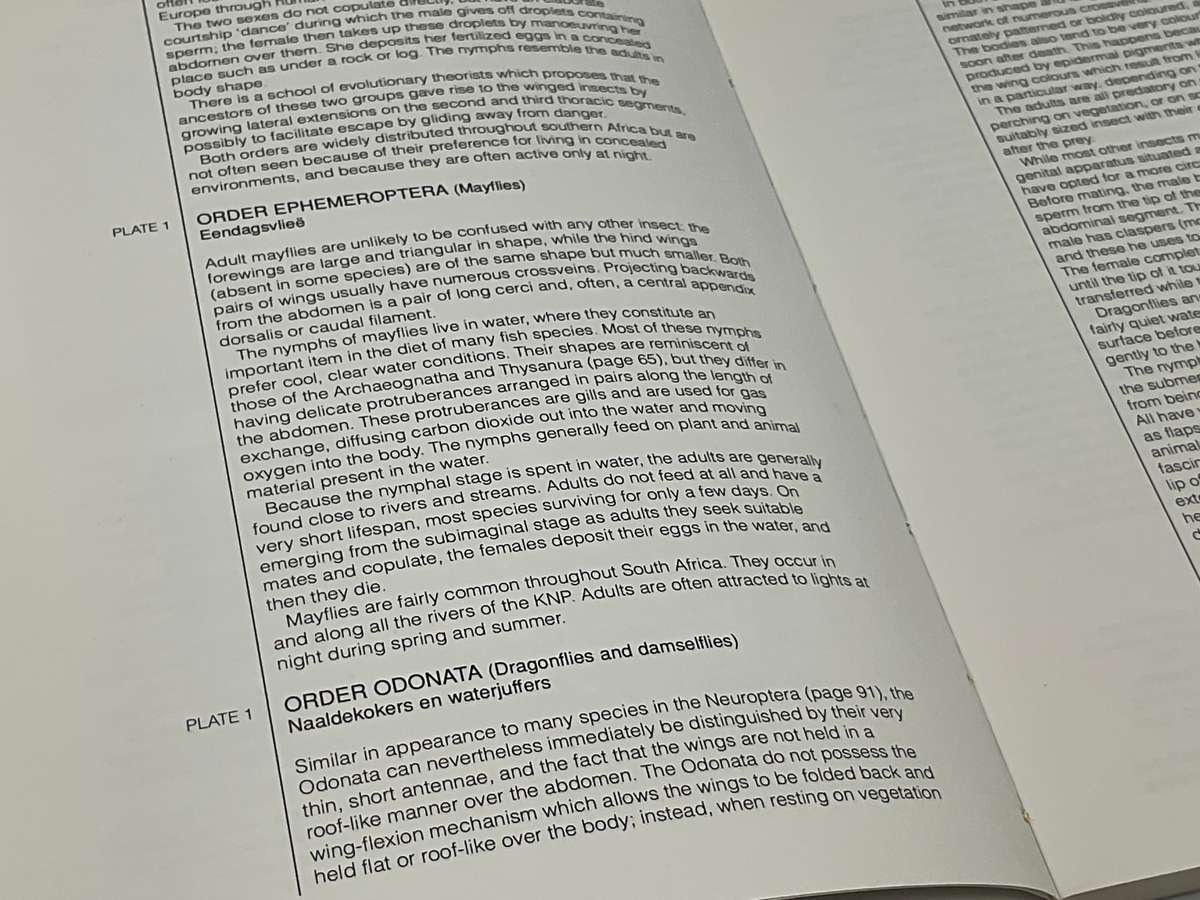 Field Guide to Insects of the Kruger National Park: Over 150 Groups Described and Illustrated Colour