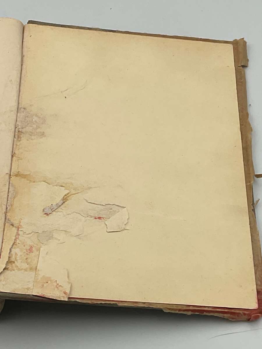 Slegtkamp van Spioenkop - Dirk Mostert