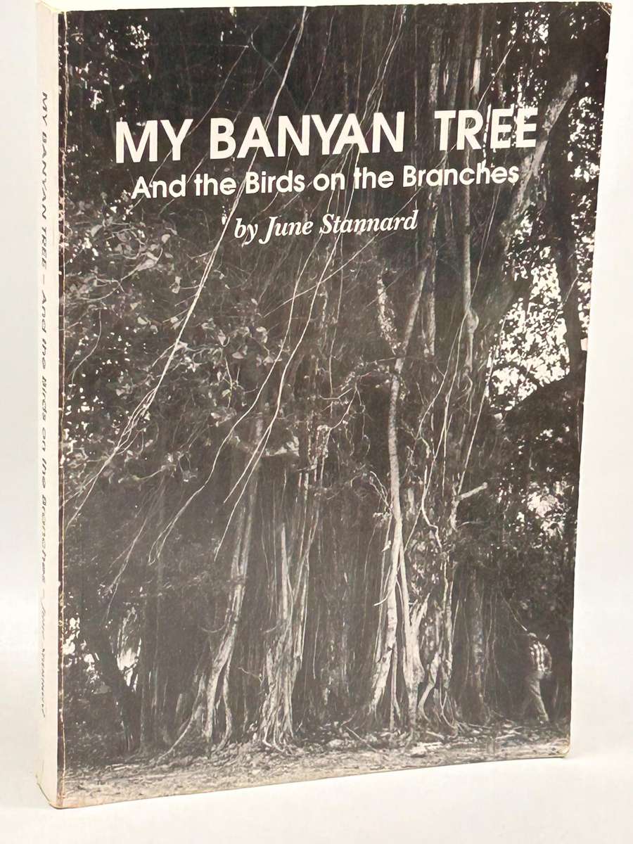 My Banyan Tree and the Birds on the Branches by June Stannard | Signed & inscribed KZN
