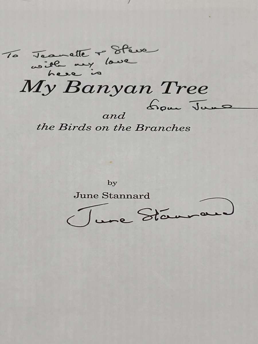 My Banyan Tree and the Birds on the Branches by June Stannard | Signed & inscribed KZN