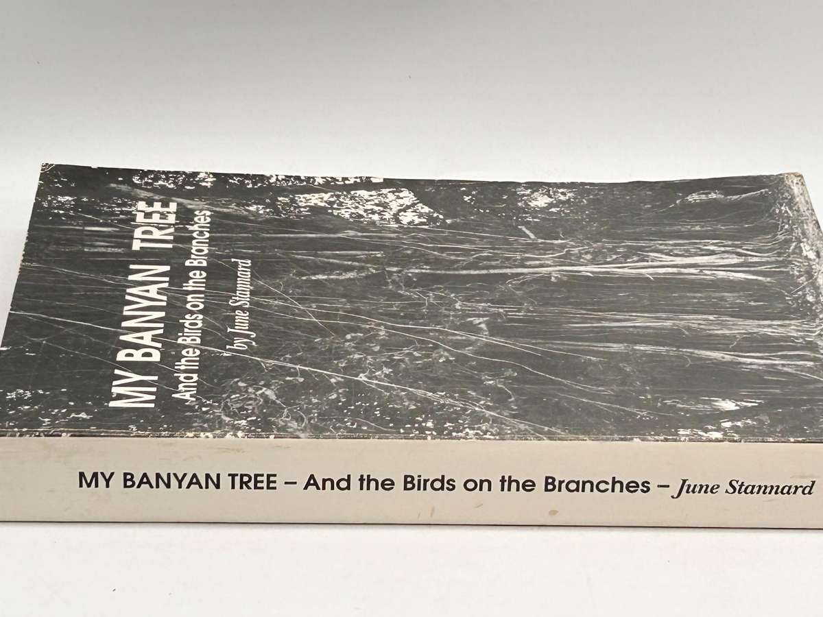 My Banyan Tree and the Birds on the Branches by June Stannard | Signed & inscribed KZN