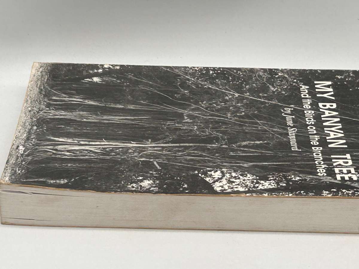 My Banyan Tree and the Birds on the Branches by June Stannard | Signed & inscribed KZN