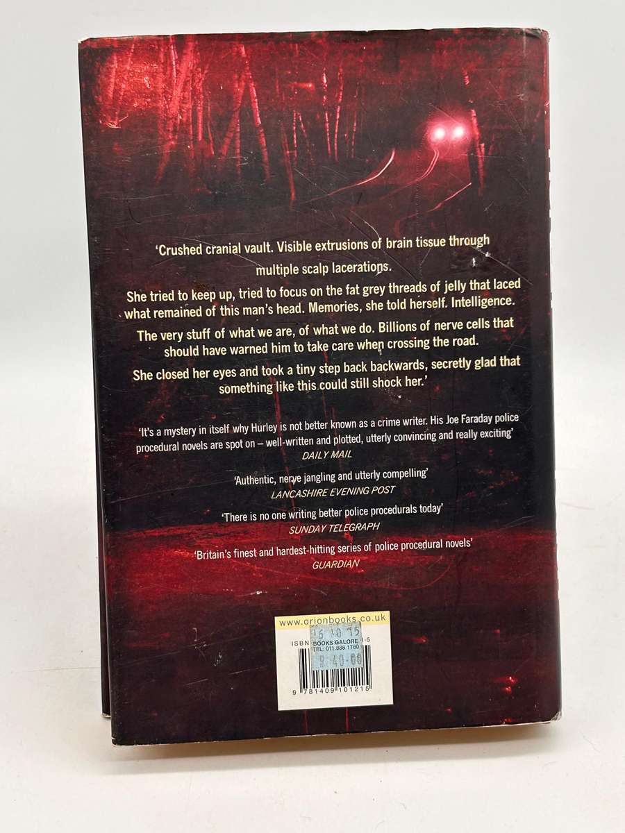 Beyond Reach by Graham Hurley | DI Joe Faraday, #10