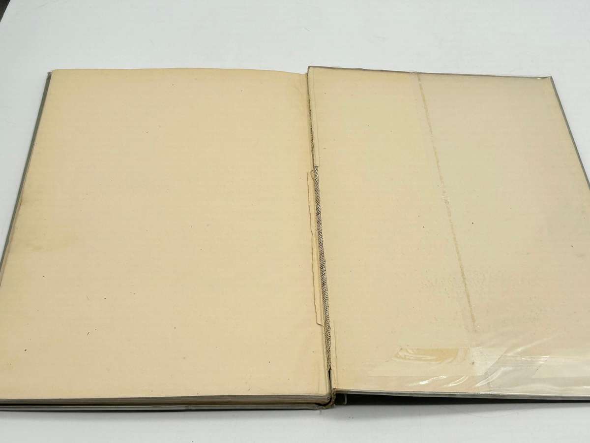 Augustus John - Drawings