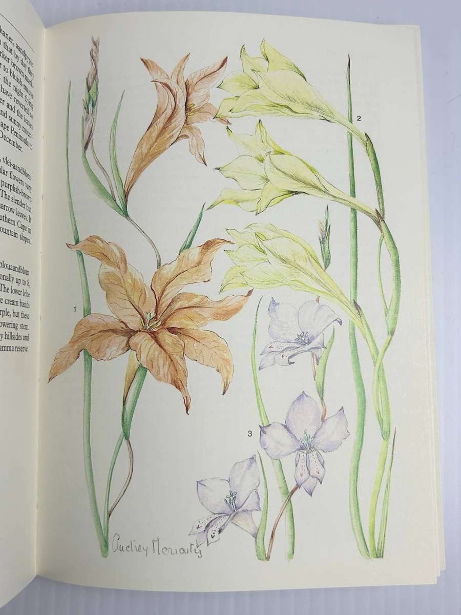 SA Wild Flower Guide 2 ~ Outeniqua, Tsitsikamma & Eastern Little Karoo - Audrey Moriarty
