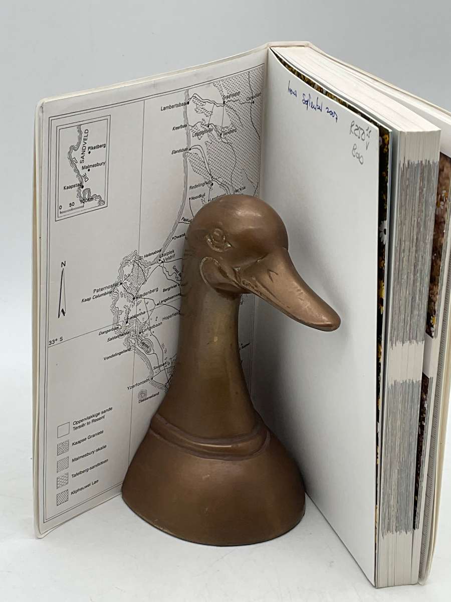 Weskus Veldblomgids van Suid-Afrika 7 - Teks deur John Manning & Peter Goldbatt