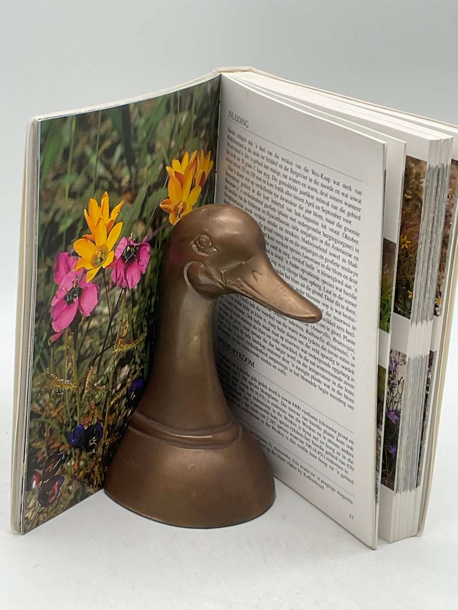 Weskus Veldblomgids van Suid-Afrika 7 - Teks deur John Manning & Peter Goldbatt