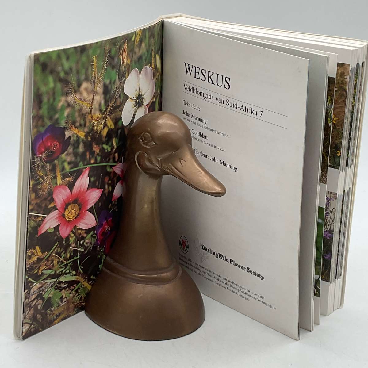 Weskus Veldblomgids van Suid-Afrika 7 - Teks deur John Manning & Peter Goldbatt