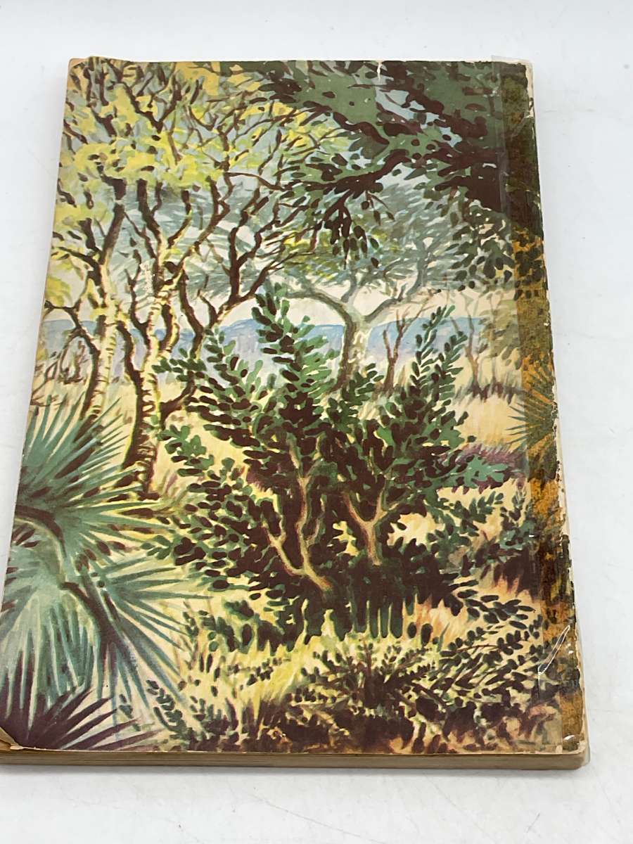 Trees and Shrubs of the Kruger National Park ~ LEW Codd