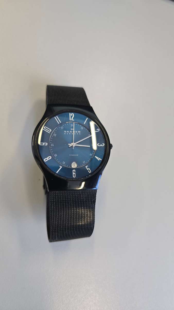 Skagen Titanium Men's Watch