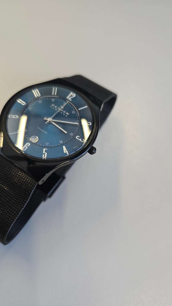 Skagen Titanium Men's Watch