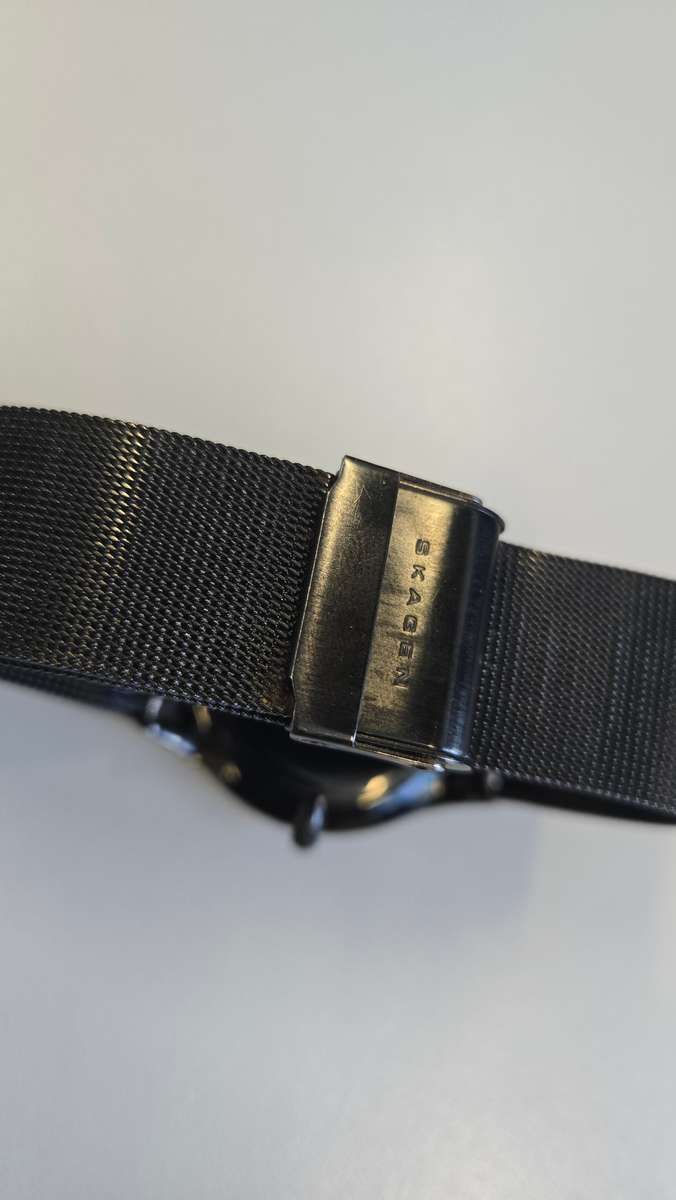 Skagen Titanium Men's Watch