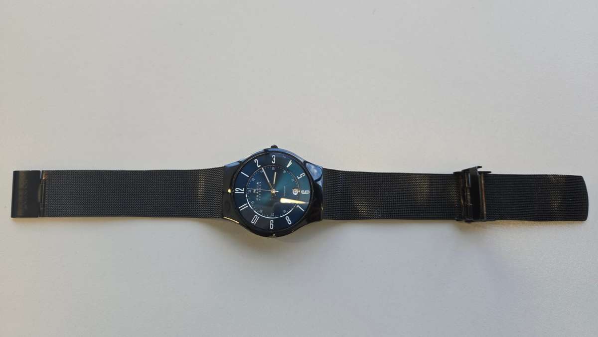 Skagen Titanium Men's Watch