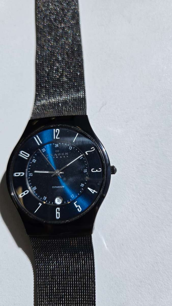 Skagen Titanium Men's Watch