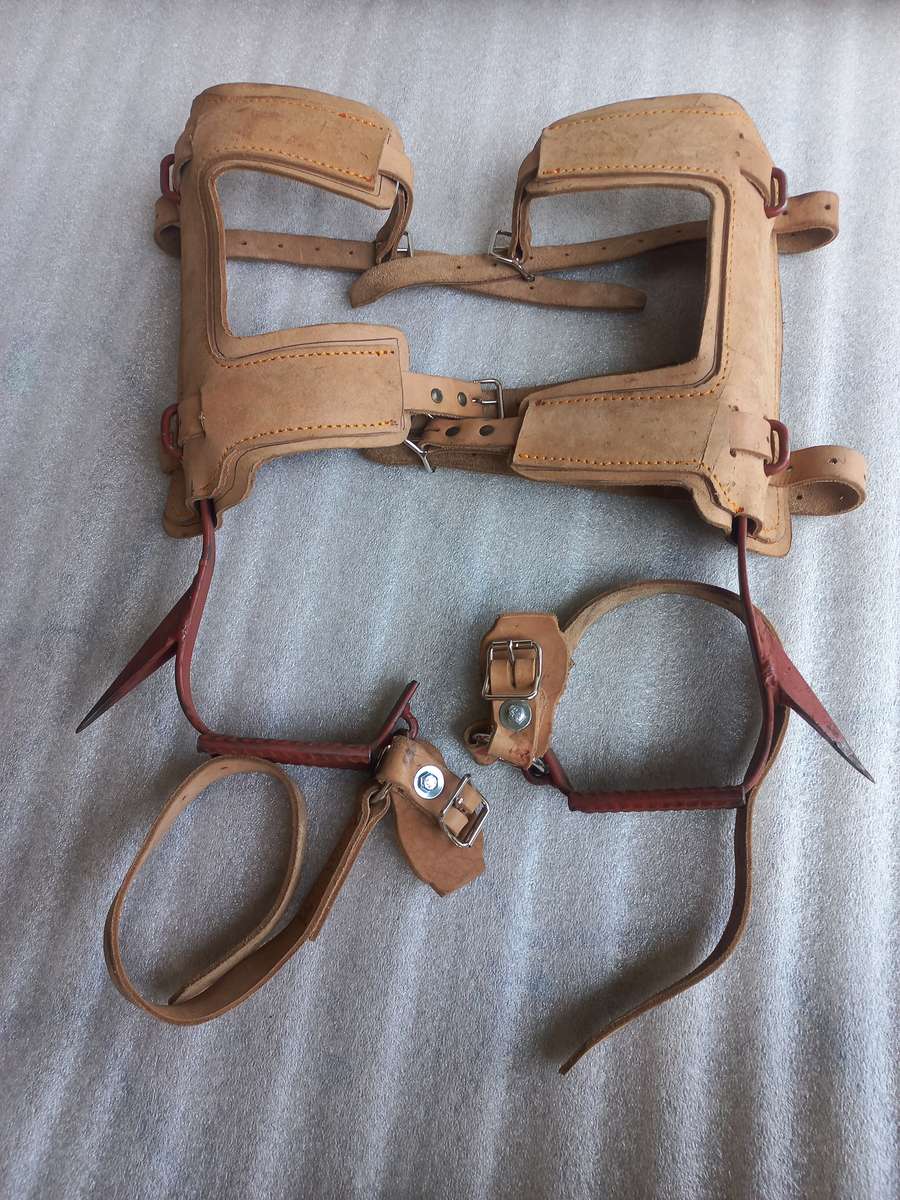 Tree climbing spike's