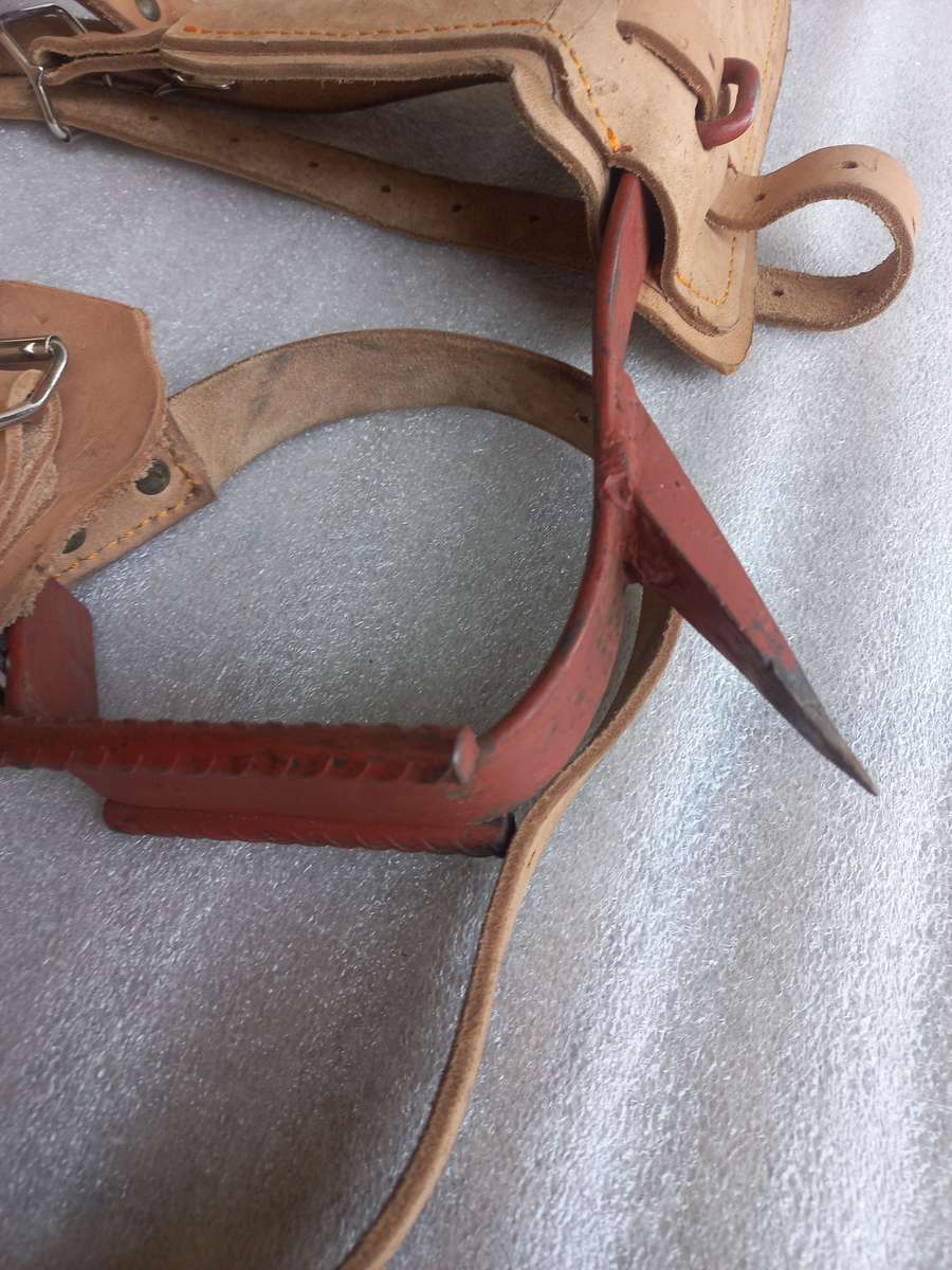 Tree climbing spike's