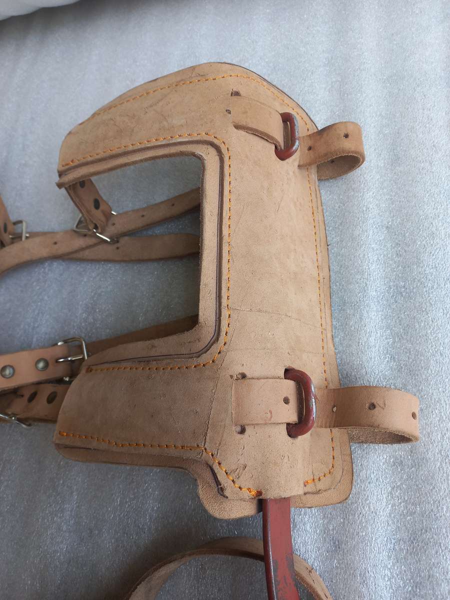 Tree climbing spike's