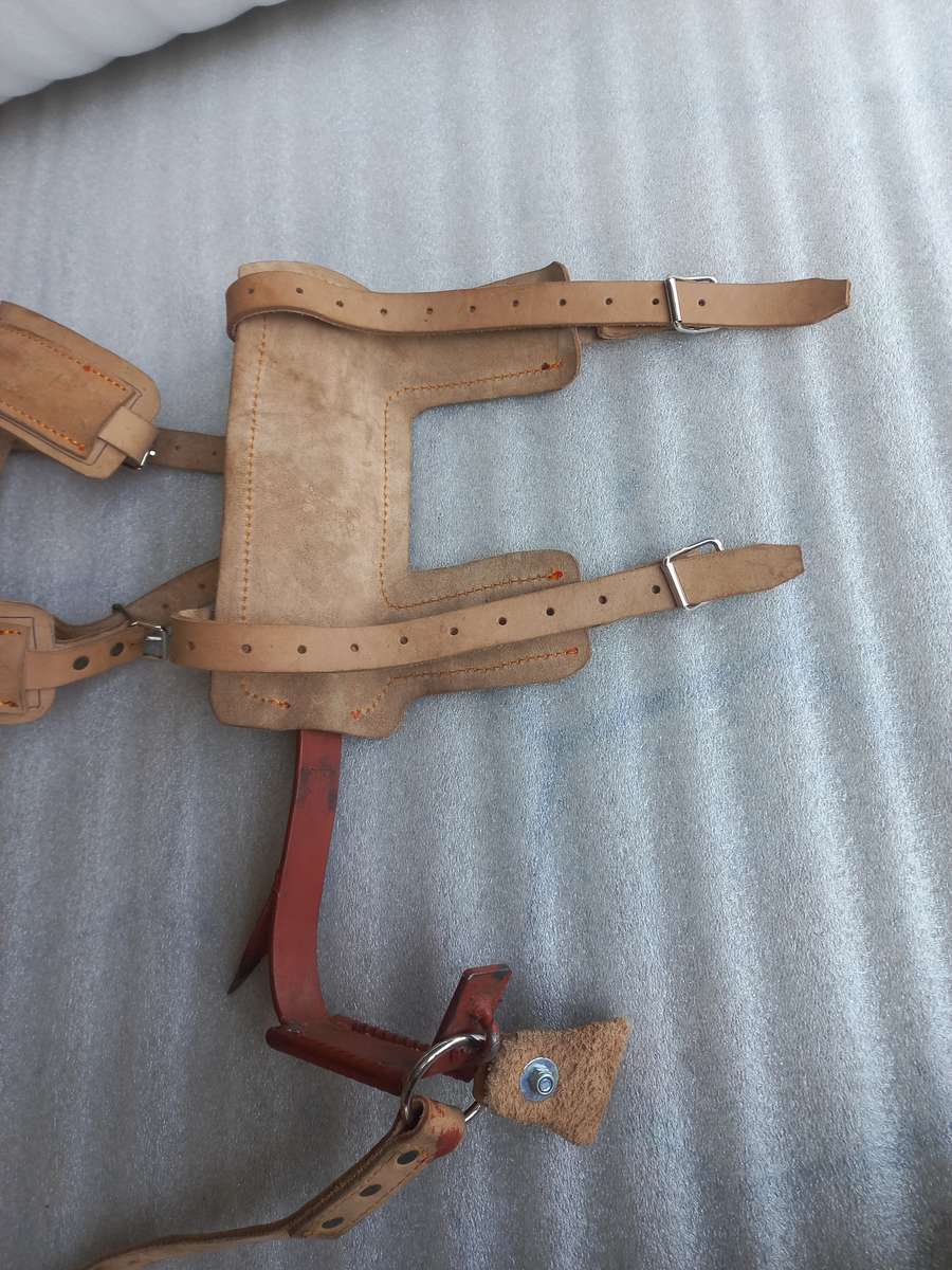 Tree climbing spike's