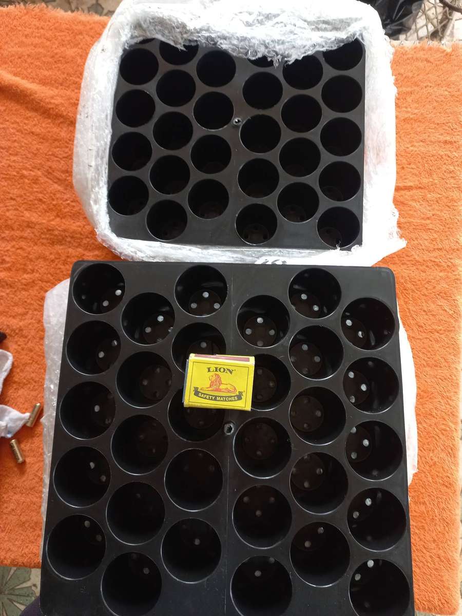 New seedling trays (lot of 8 trays) 30x holes per tray - 240 holes in total
