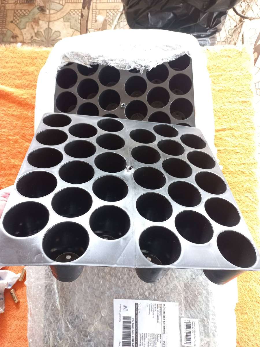 New seedling trays (lot of 8 trays) 30x holes per tray - 240 holes in total