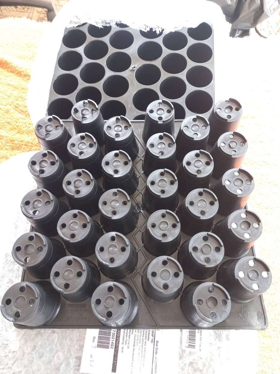 New seedling trays (lot of 8 trays) 30x holes per tray - 240 holes in total