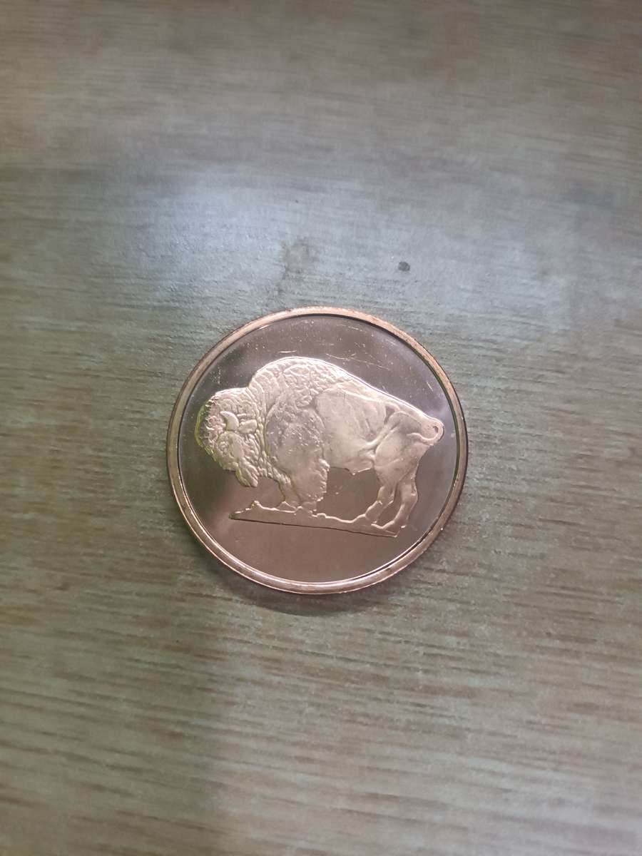 1 oz Pure Copper Coins (bid per coin)