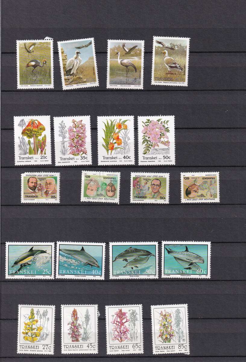 Kabe 16 page stamp album filled with MINT Transkei