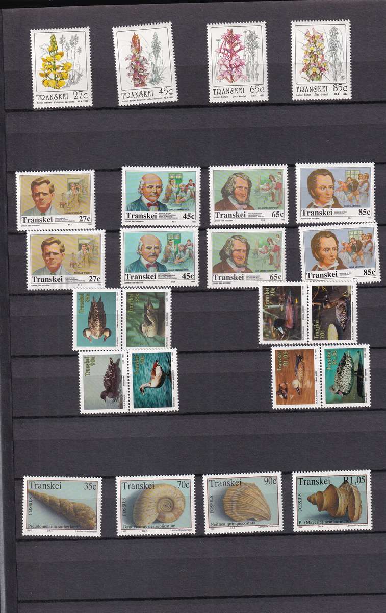 Kabe 16 page stamp album filled with MINT Transkei