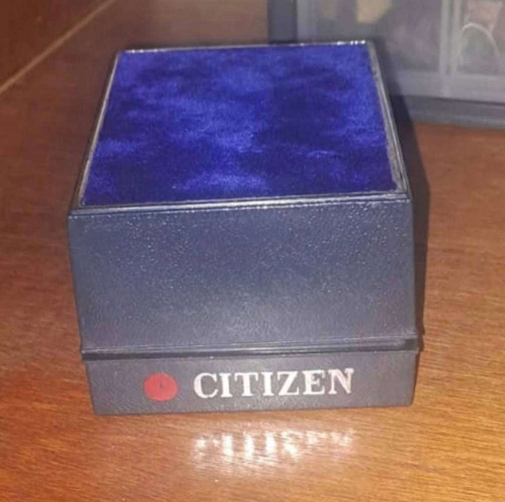 Citizen Aqualand Promaster C022