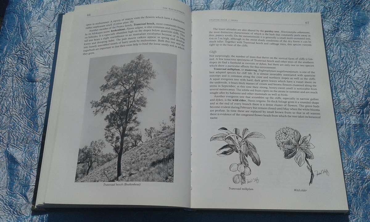 `The Magaliesberg`  Vincent Carruthers.  Hard cover.