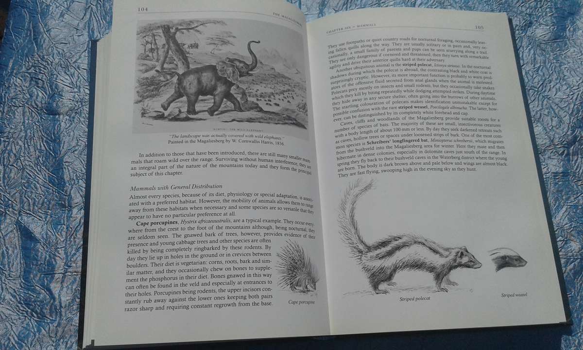 `The Magaliesberg`  Vincent Carruthers.  Hard cover.