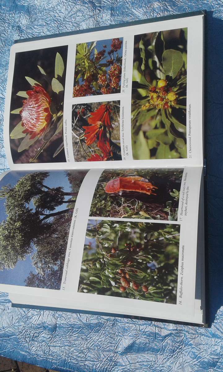 `The Magaliesberg`  Vincent Carruthers.  Hard cover.