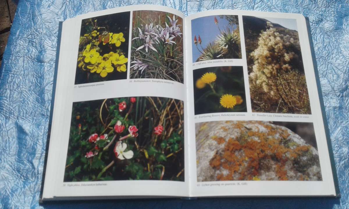 `The Magaliesberg`  Vincent Carruthers.  Hard cover.