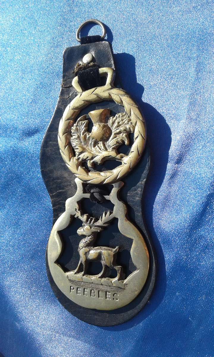 Horse Brass. Burton Upon Trent.  Home of the Brass Shire horses plate.  110mm. Poole.