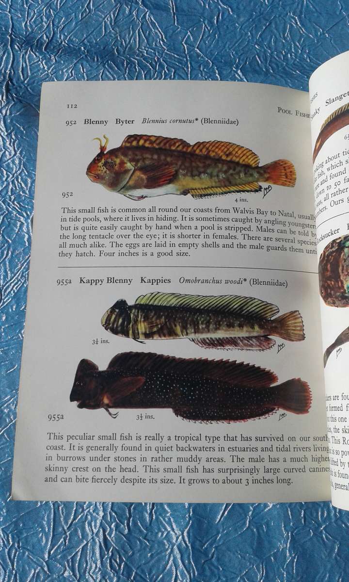 1966  `Fishes of the Tsitsikama Coastal National Park`Prof. J.L.R. Smith.   Soft cover.