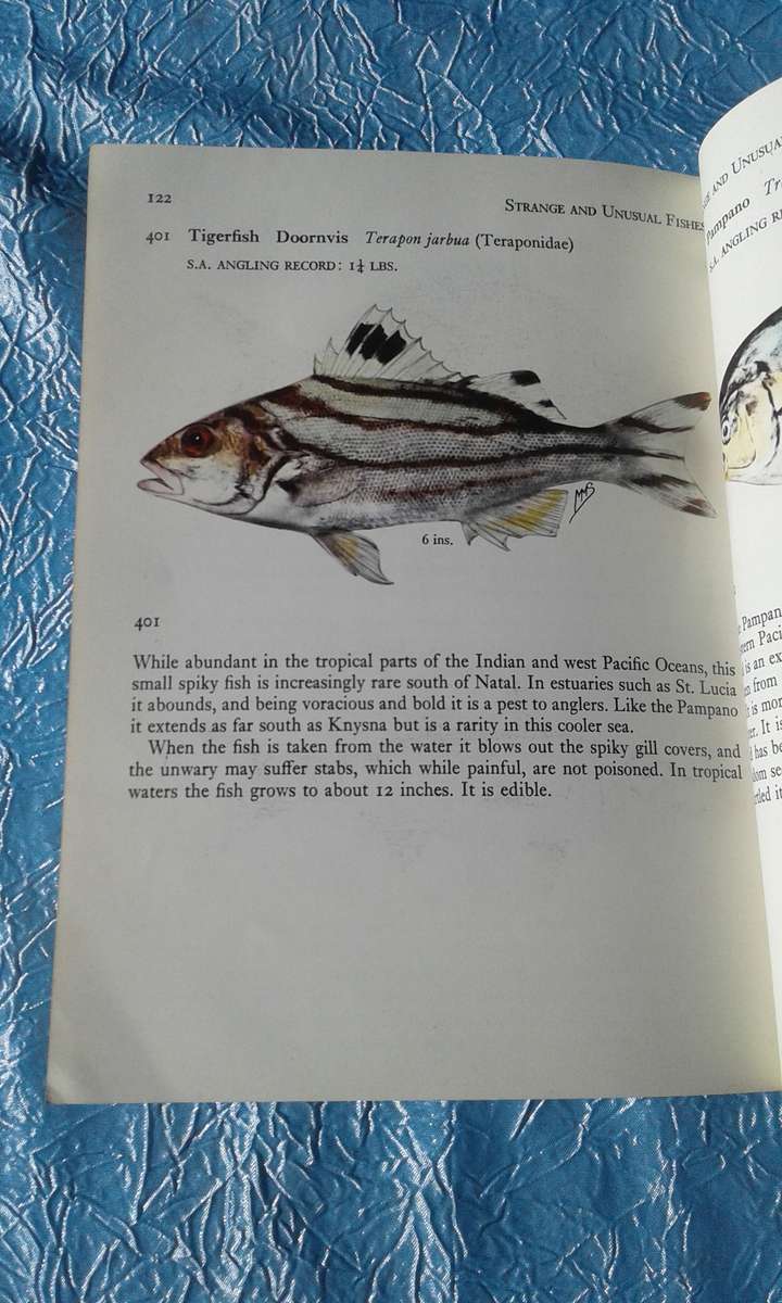 1966  `Fishes of the Tsitsikama Coastal National Park`Prof. J.L.R. Smith.   Soft cover.
