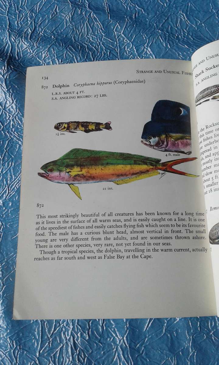 1966  `Fishes of the Tsitsikama Coastal National Park`Prof. J.L.R. Smith.   Soft cover.