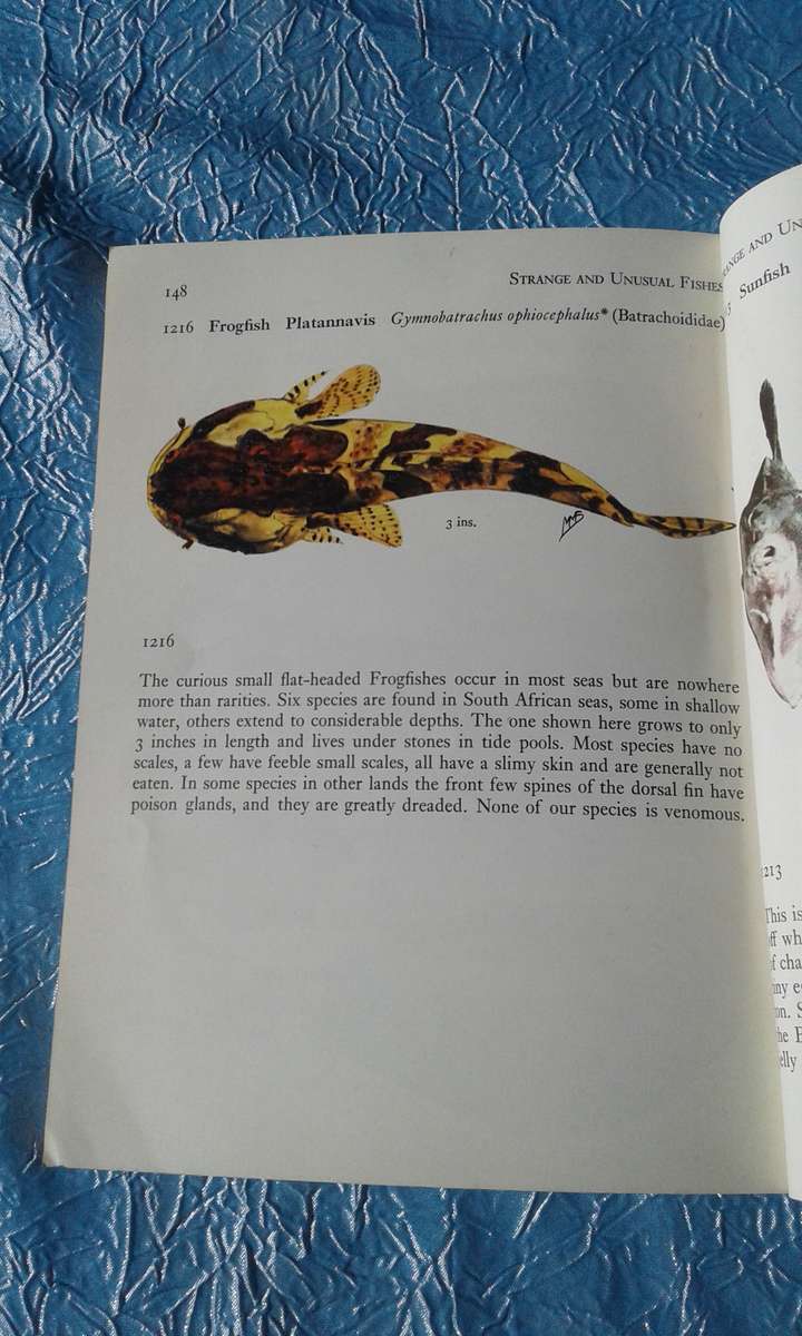 1966  `Fishes of the Tsitsikama Coastal National Park`Prof. J.L.R. Smith.   Soft cover.