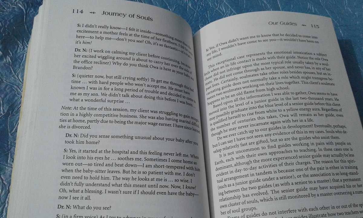 `Journey of Souls`   Michael Newton PhD.  Soft cover.